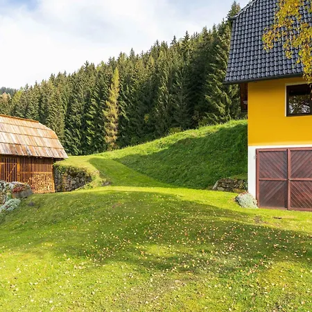 Prázdninový dům In Nahe Saualpe Skigebiet *